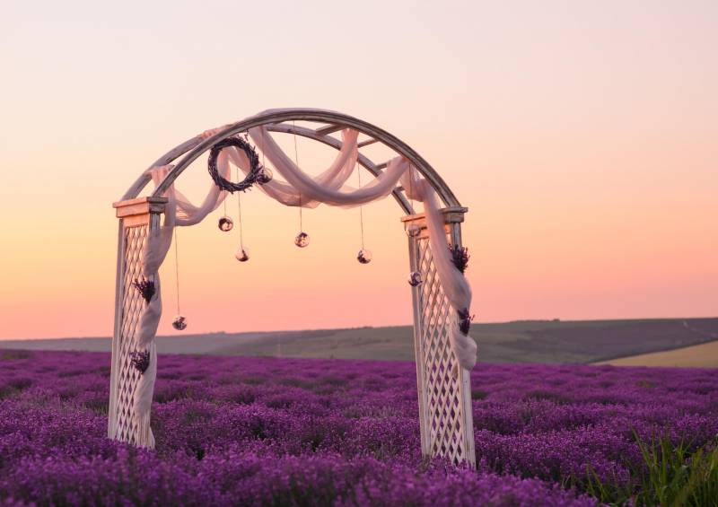 Le mariage sur le thème lavande : la nouvelle tendance haut de gamme pour votre décoration de mariage sur mesure !